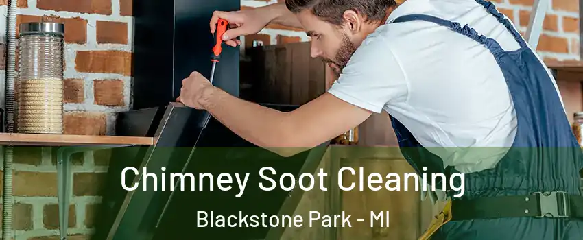 Chimney Soot Cleaning Blackstone Park - MI