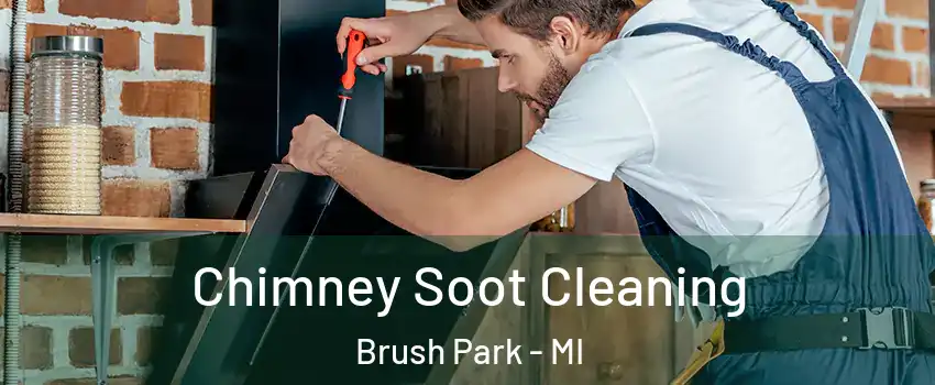Chimney Soot Cleaning Brush Park - MI