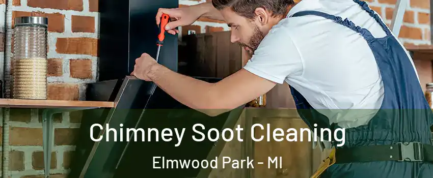 Chimney Soot Cleaning Elmwood Park - MI