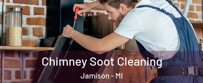 Chimney Soot Cleaning Jamison - MI