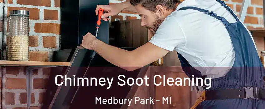 Chimney Soot Cleaning Medbury Park - MI