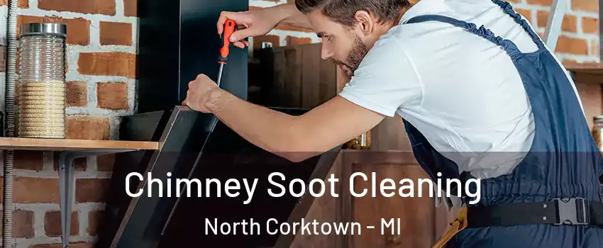 Chimney Soot Cleaning North Corktown - MI