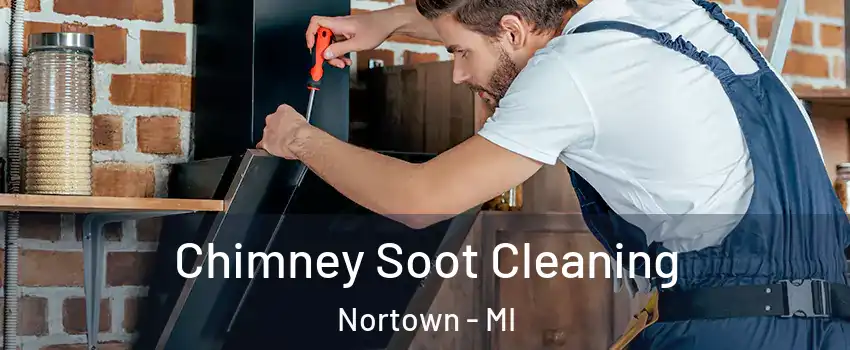 Chimney Soot Cleaning Nortown - MI