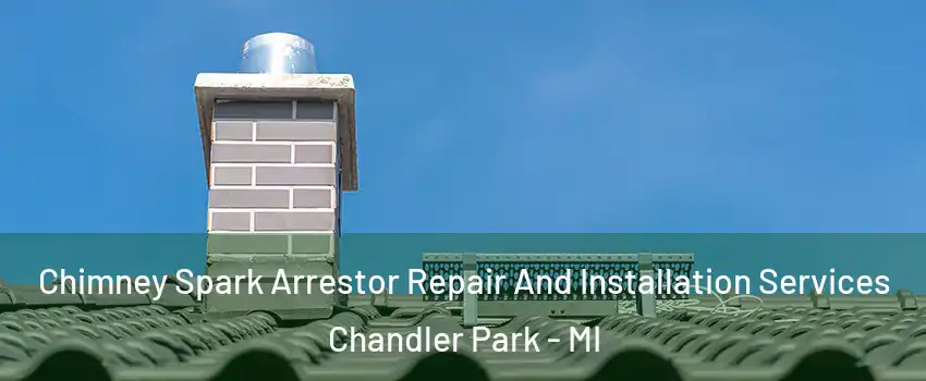 Chimney Spark Arrestor Repair And Installation Services Chandler Park - MI