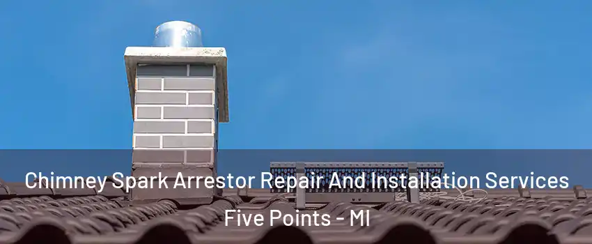 Chimney Spark Arrestor Repair And Installation Services Five Points - MI