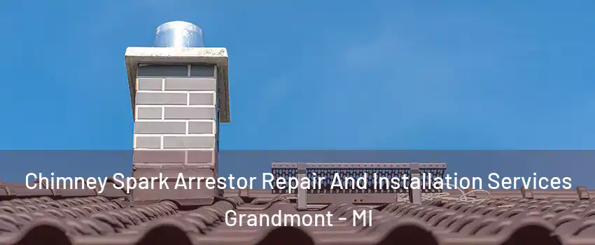 Chimney Spark Arrestor Repair And Installation Services Grandmont - MI