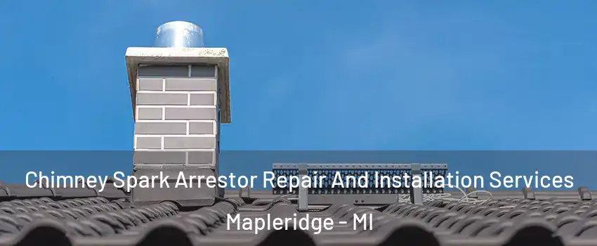 Chimney Spark Arrestor Repair And Installation Services Mapleridge - MI