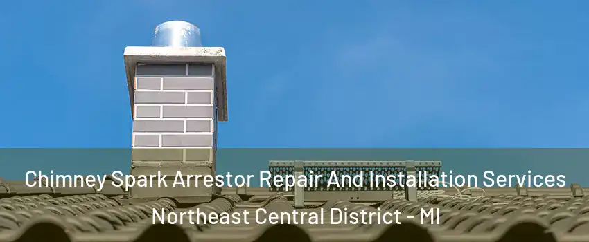 Chimney Spark Arrestor Repair And Installation Services Northeast Central District - MI