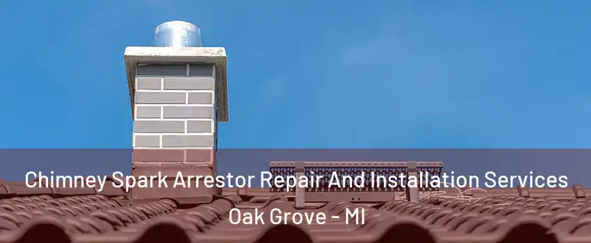 Chimney Spark Arrestor Repair And Installation Services Oak Grove - MI
