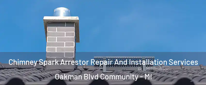 Chimney Spark Arrestor Repair And Installation Services Oakman Blvd Community - MI