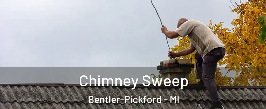 Chimney Sweep Bentler-Pickford - MI