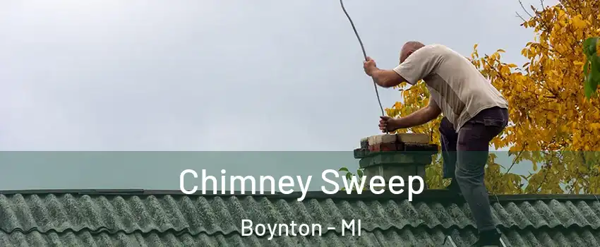 Chimney Sweep Boynton - MI