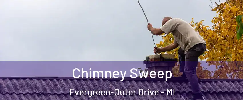 Chimney Sweep Evergreen-Outer Drive - MI