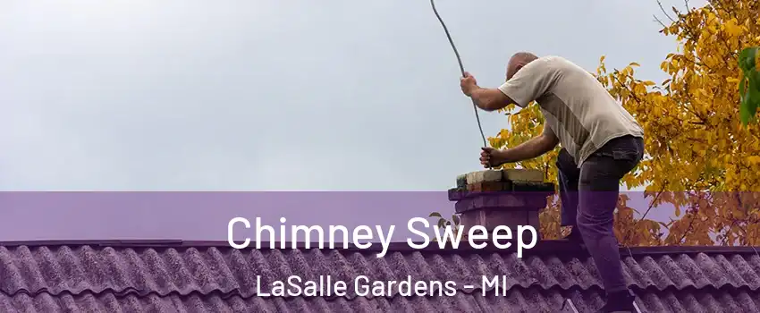 Chimney Sweep LaSalle Gardens - MI