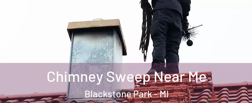 Chimney Sweep Near Me Blackstone Park - MI