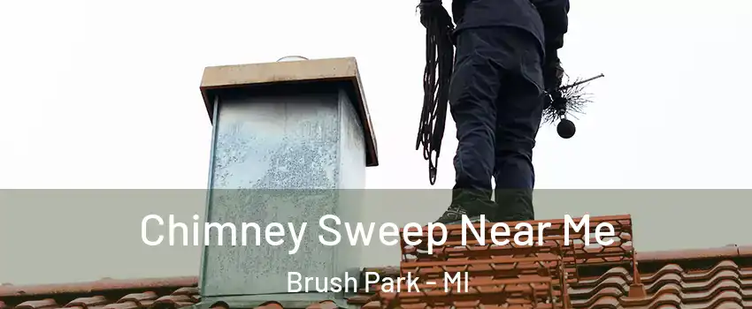 Chimney Sweep Near Me Brush Park - MI
