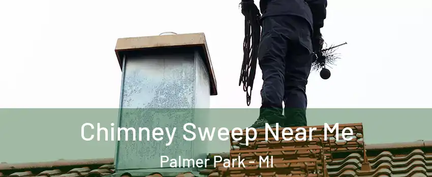 Chimney Sweep Near Me Palmer Park - MI