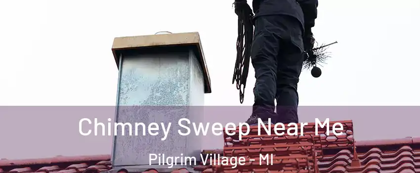 Chimney Sweep Near Me Pilgrim Village - MI