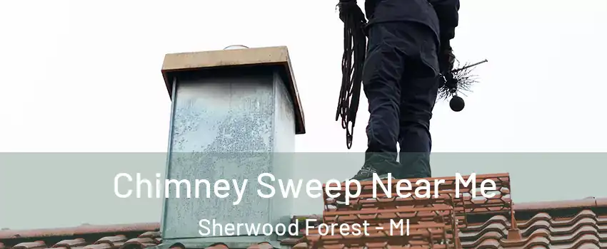 Chimney Sweep Near Me Sherwood Forest - MI
