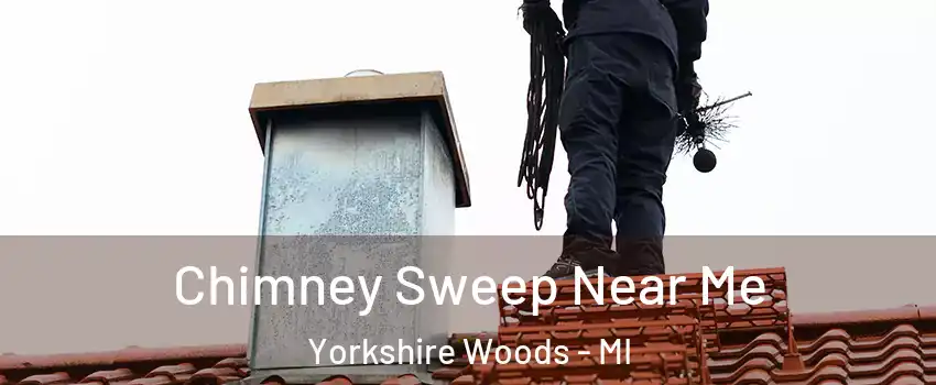 Chimney Sweep Near Me Yorkshire Woods - MI