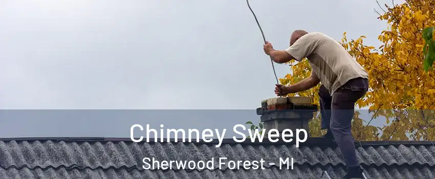 Chimney Sweep Sherwood Forest - MI