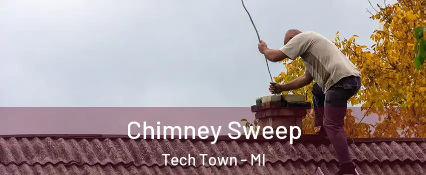 Chimney Sweep Tech Town - MI