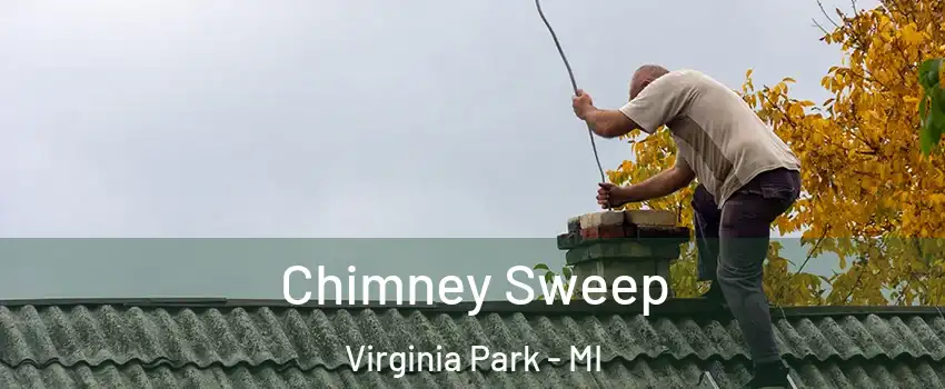 Chimney Sweep Virginia Park - MI