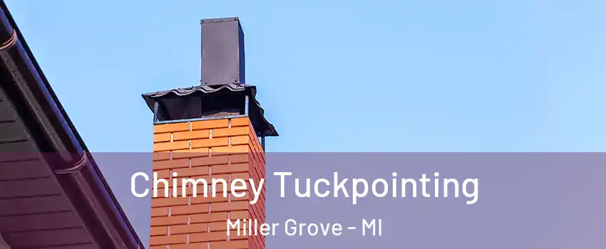 Chimney Tuckpointing Miller Grove - MI