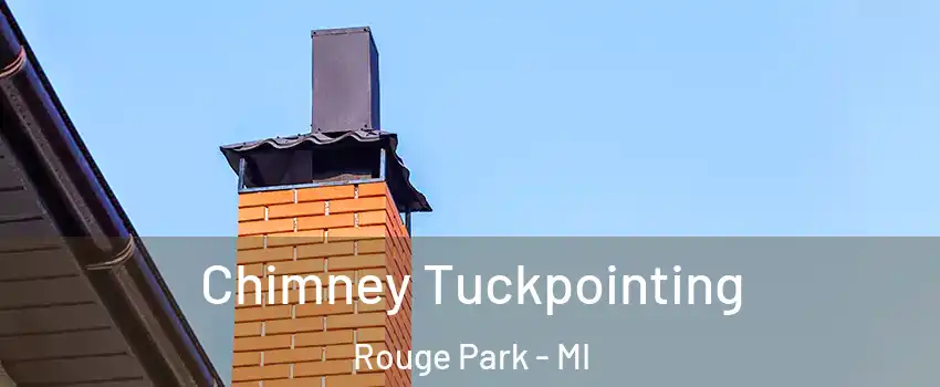 Chimney Tuckpointing Rouge Park - MI