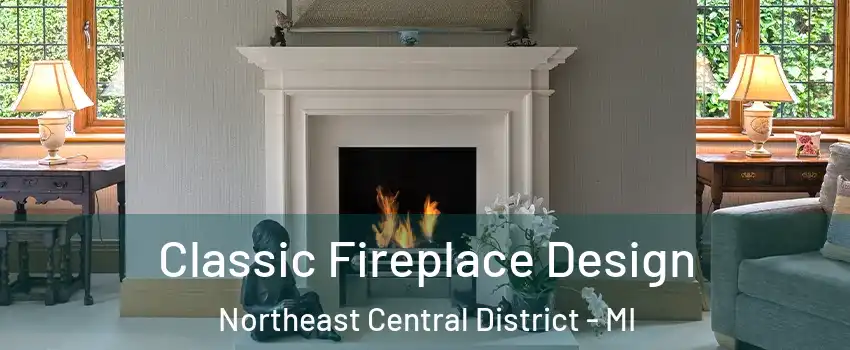 Classic Fireplace Design Northeast Central District - MI