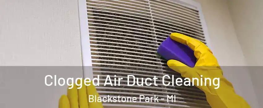 Clogged Air Duct Cleaning Blackstone Park - MI