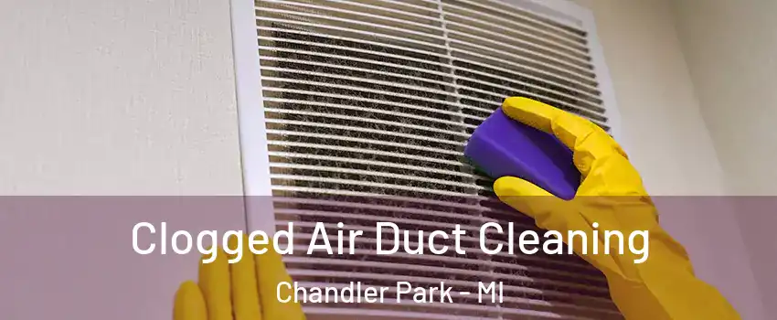 Clogged Air Duct Cleaning Chandler Park - MI
