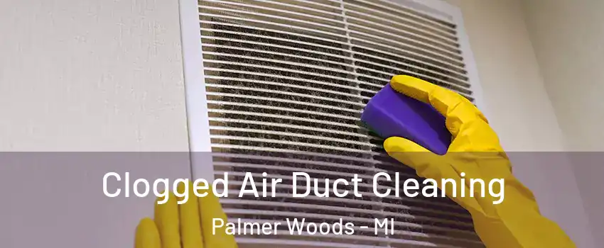 Clogged Air Duct Cleaning Palmer Woods - MI