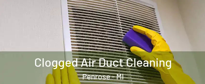 Clogged Air Duct Cleaning Penrose - MI