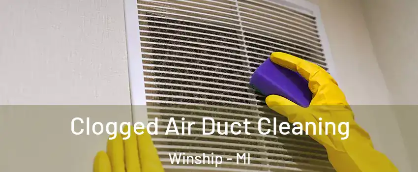 Clogged Air Duct Cleaning Winship - MI