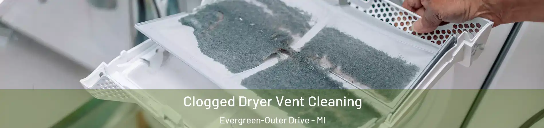Clogged Dryer Vent Cleaning Evergreen-Outer Drive - MI