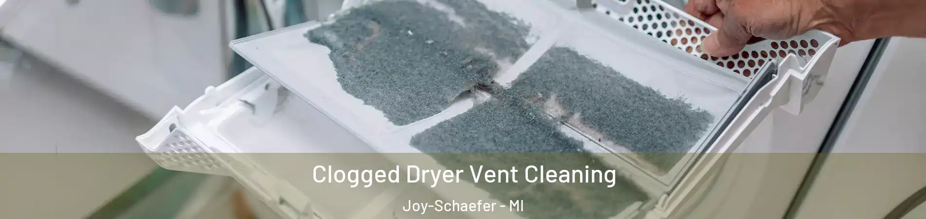 Clogged Dryer Vent Cleaning Joy-Schaefer - MI
