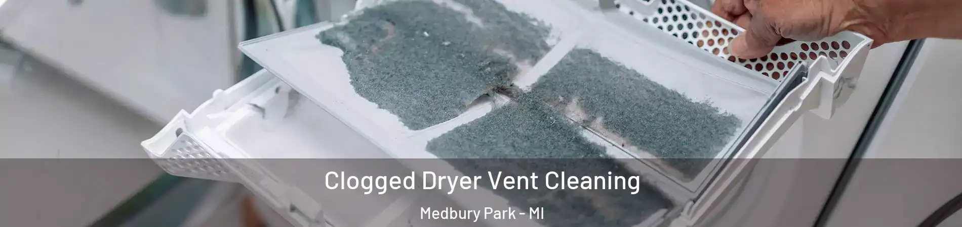 Clogged Dryer Vent Cleaning Medbury Park - MI