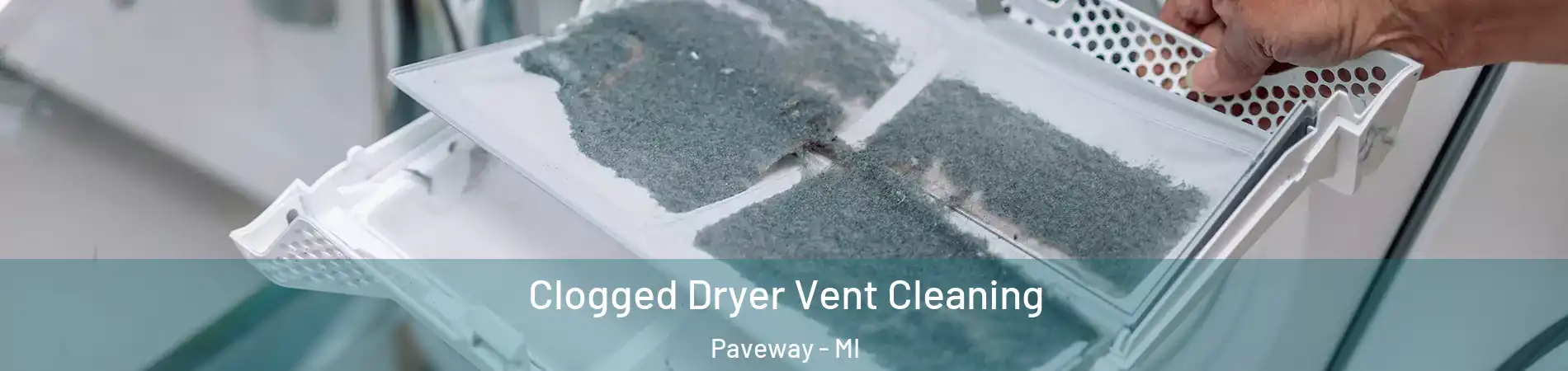 Clogged Dryer Vent Cleaning Paveway - MI