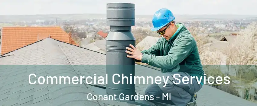 Commercial Chimney Services Conant Gardens - MI