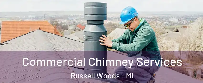 Commercial Chimney Services Russell Woods - MI