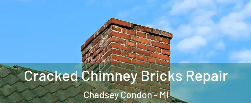 Cracked Chimney Bricks Repair Chadsey Condon - MI