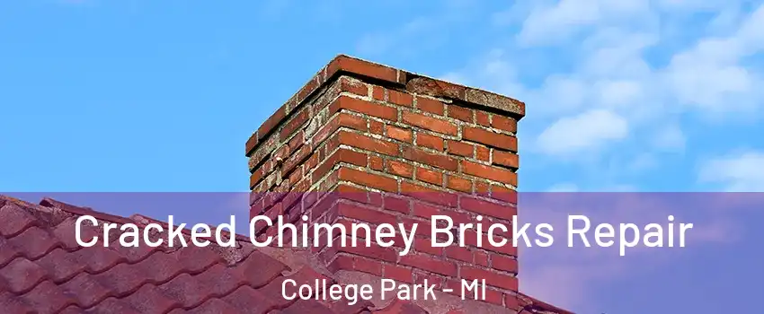 Cracked Chimney Bricks Repair College Park - MI
