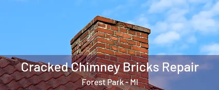 Cracked Chimney Bricks Repair Forest Park - MI