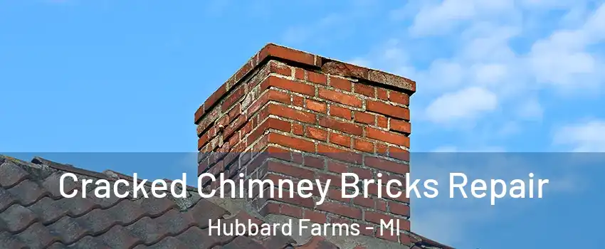 Cracked Chimney Bricks Repair Hubbard Farms - MI