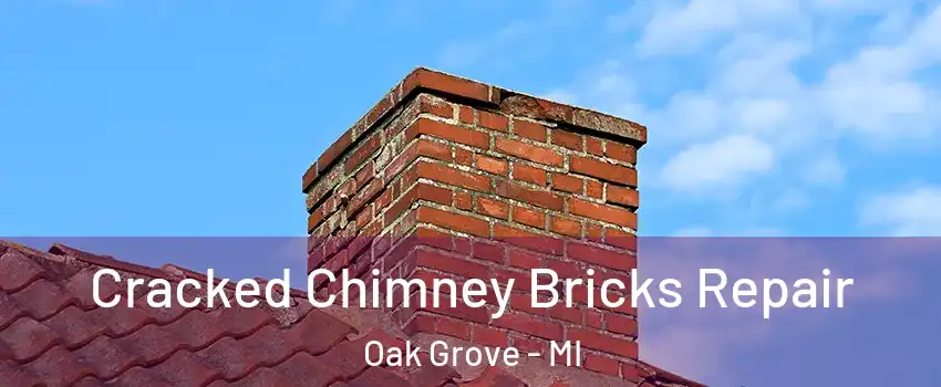 Cracked Chimney Bricks Repair Oak Grove - MI