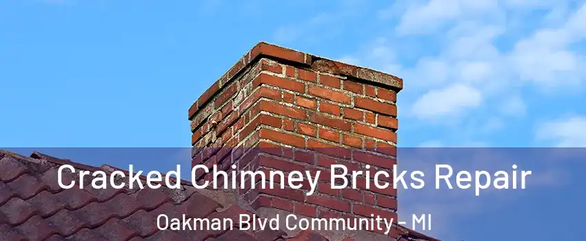 Cracked Chimney Bricks Repair Oakman Blvd Community - MI
