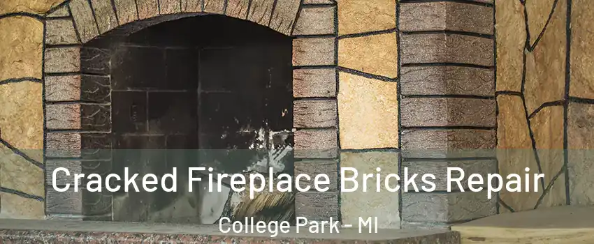 Cracked Fireplace Bricks Repair College Park - MI