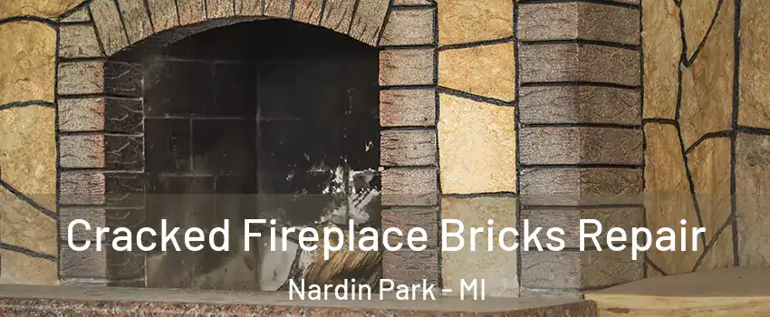 Cracked Fireplace Bricks Repair Nardin Park - MI
