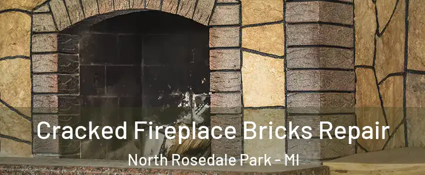 Cracked Fireplace Bricks Repair North Rosedale Park - MI